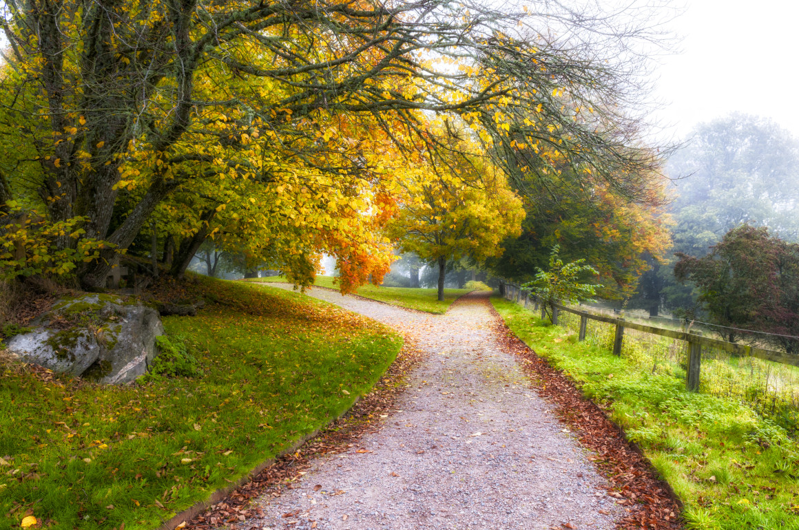 Narrow road essay 06 image